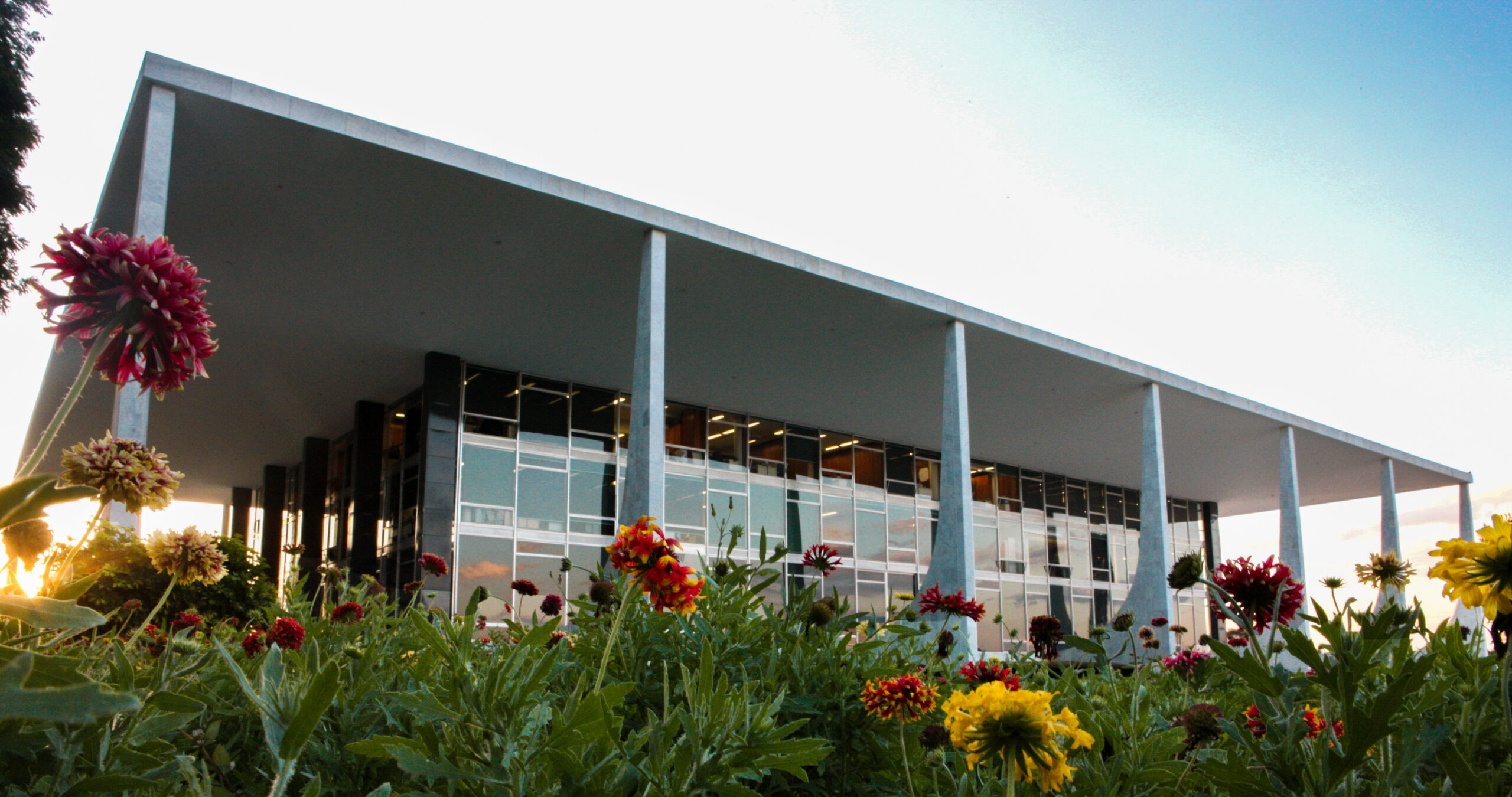 Fachada do edifício-sede do STF com flores em primeiro plano