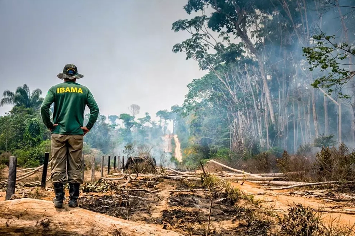 Fotografia de trecho de floresta devastada, com troncos de árvores no chão, e do lado esquedro, de costas, um fiscal do Ibama.