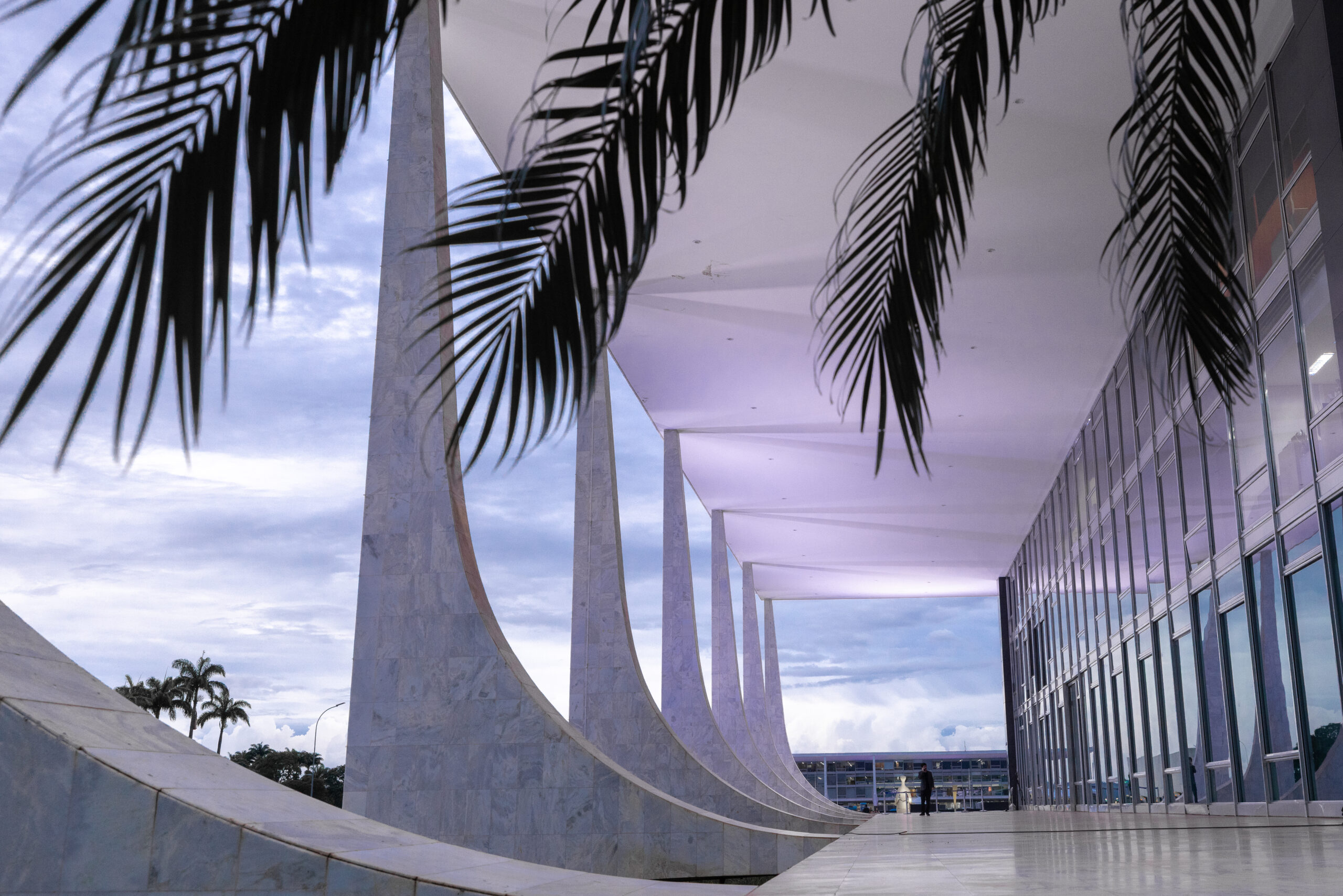 Foto da lateral do prédio do STF com folhas de árvores. Ao fundo, a Estátua da Justiça e o Palácio do Planalto