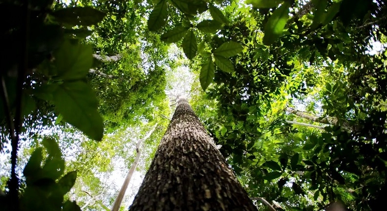 Indústria da construção pede que STF declare constitucionalidade da Lei Geral do Licenciamento Ambiental