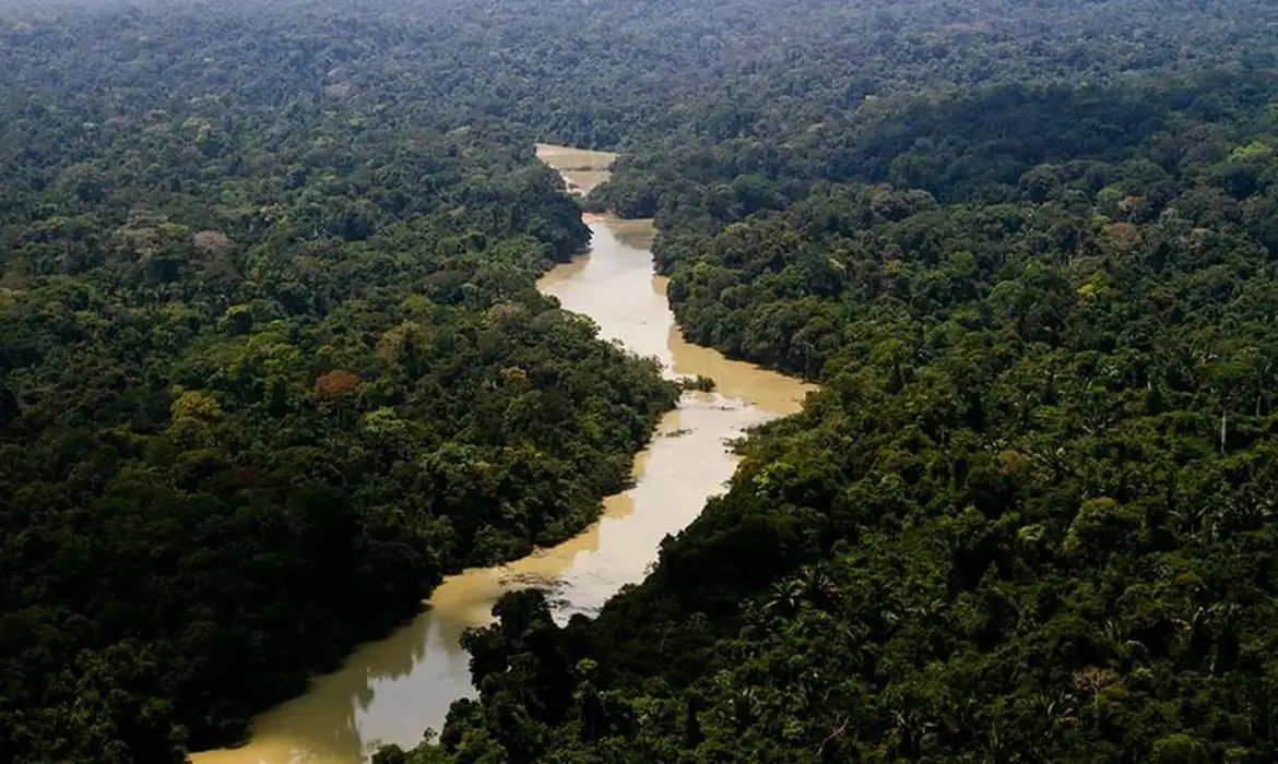 STF determina que União adote medidas repressivas contra organizações criminosas na Amazônia