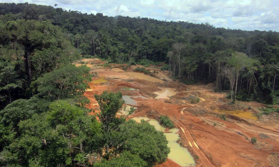 Desmatamento causado por garimpo na terra cinta larga