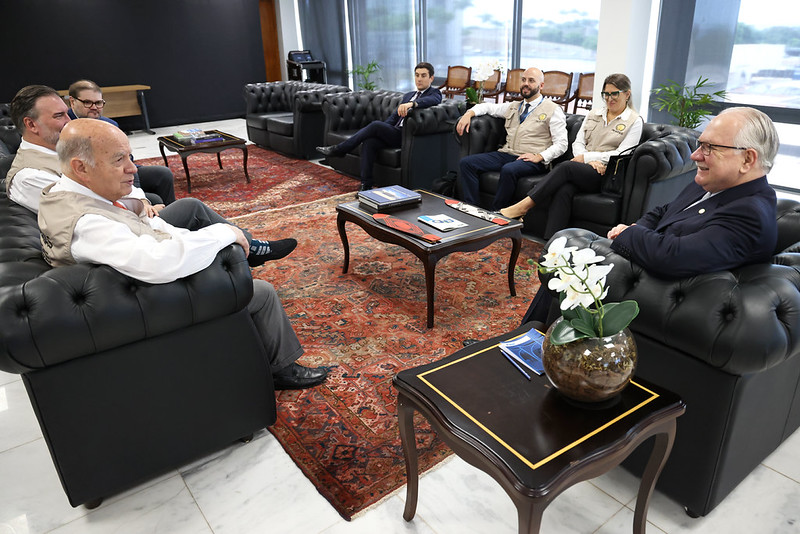 Audiência com Chefe da Missão da Organização dos Estados Americanos de observação das Eleições 2026.